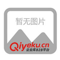 山東新宇牧業常年供應300-500斤育肥牛(圖)